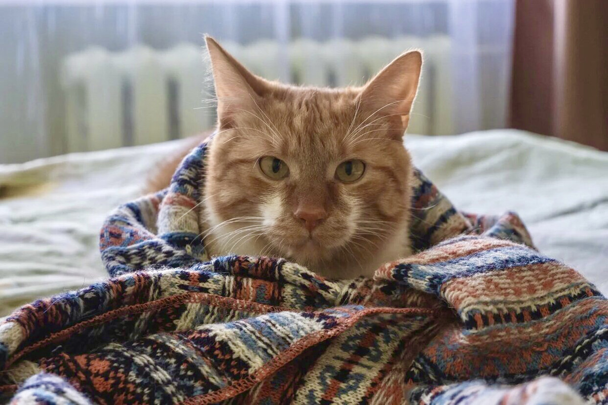 AA37B41E-1A60-4F47-AA77-245B3434CA5F