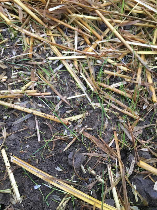 F44FD1FB-AA49-4DEE-AA93-7CC77B9DBFA9