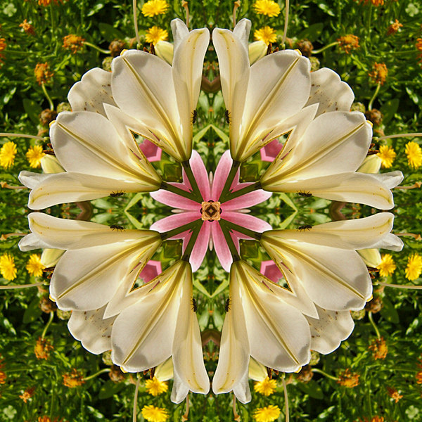 06-Januar2019mandala5.png