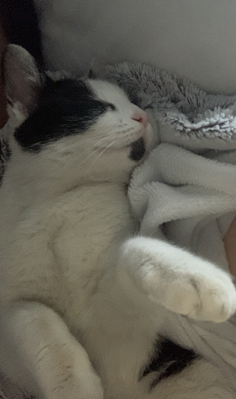 23F6A6A7-E387-43C5-ACC4-997E49C005BA