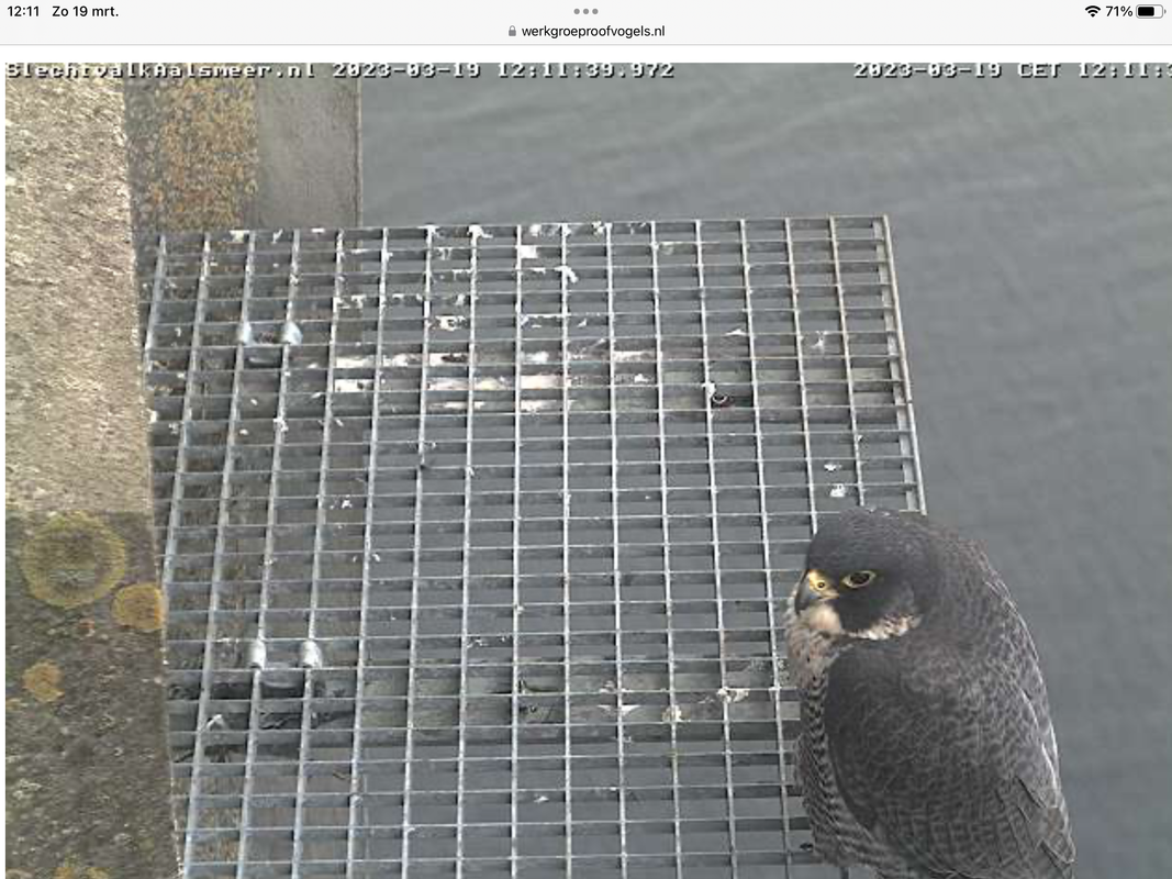 582F569B-804B-4AF4-A657-D03F2DB1B1FB