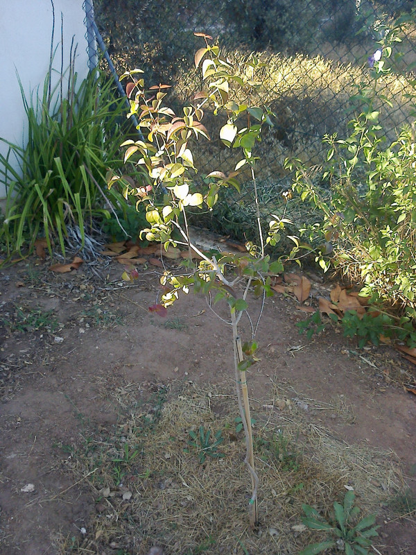 foto0129