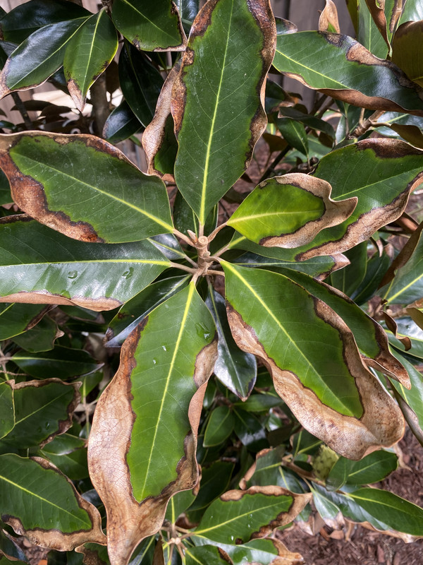 9806AB9E-387C-4BCC-A611-2B848C63193A