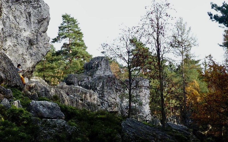 PA290870.jpg