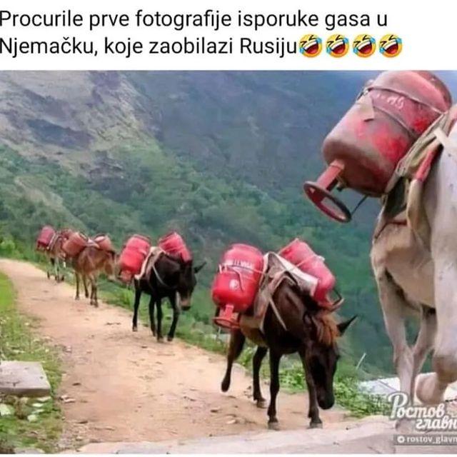 277453138-646802593092653-68670689407256