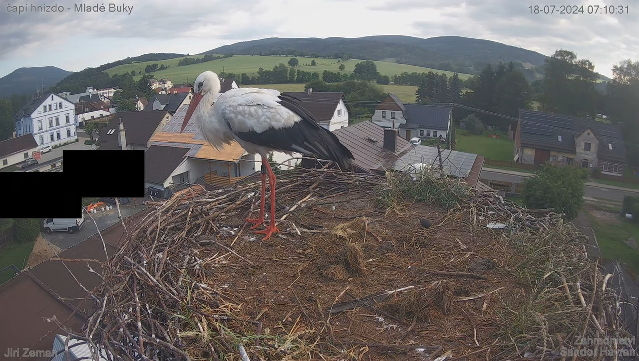 Tiešraides kamera — Mladé Buky — stārķa ligzda 7-6-30 screenshot