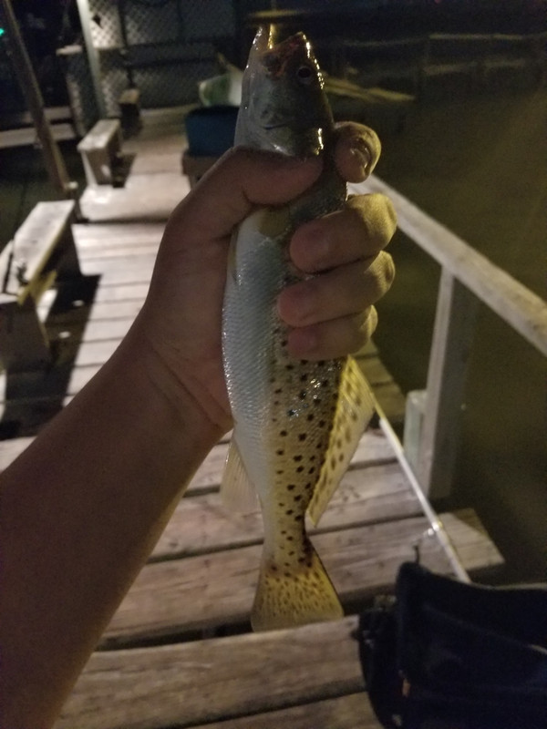 20180727_013605