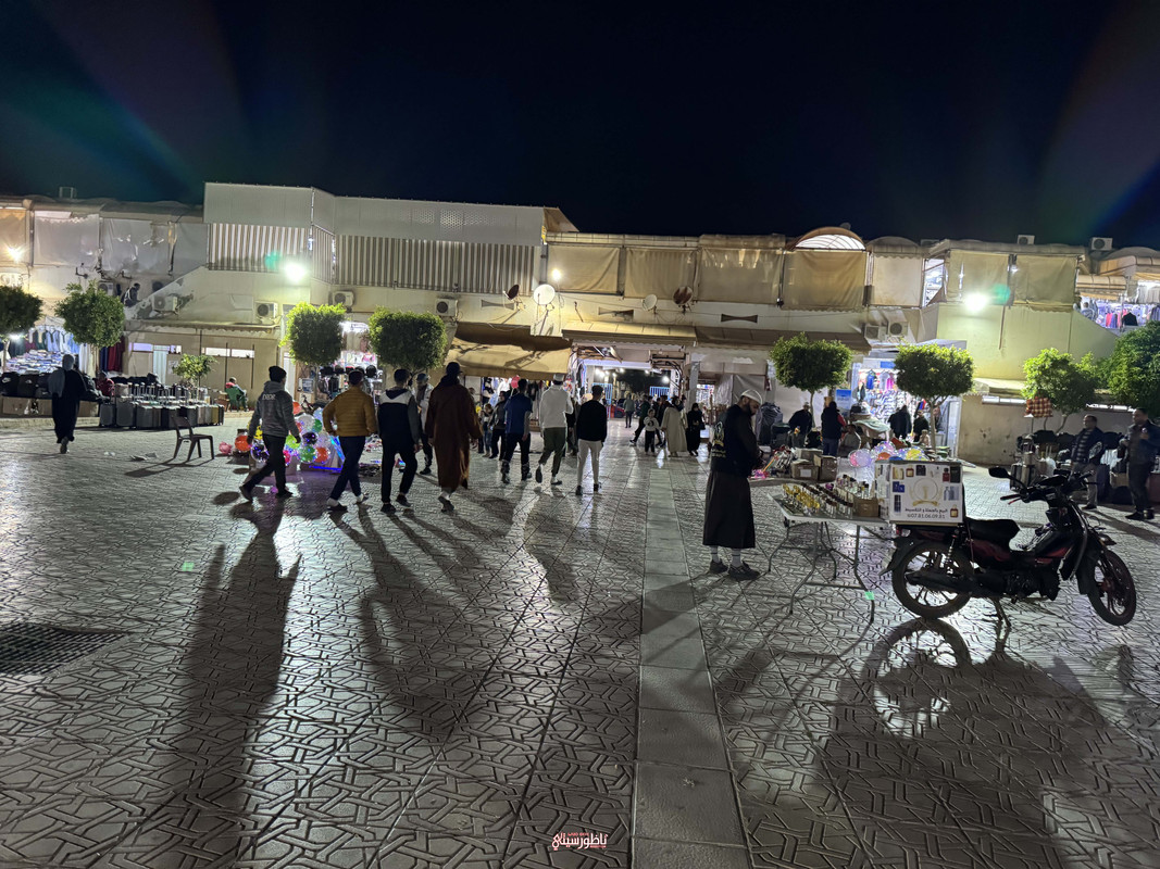 IMG-6272
