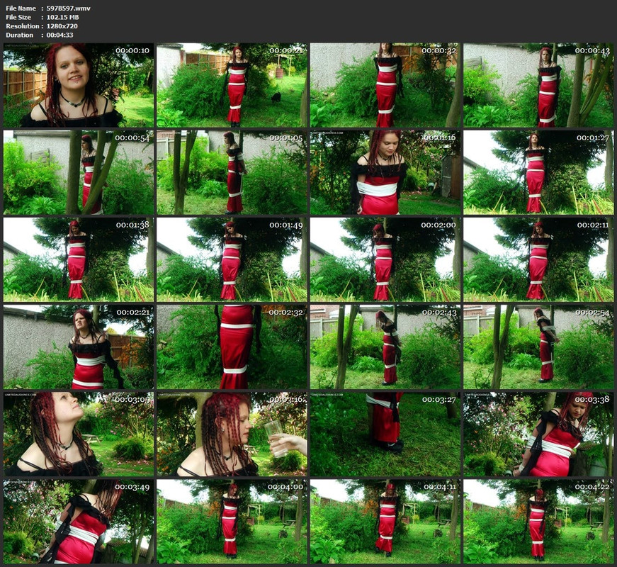 597B597.wmv