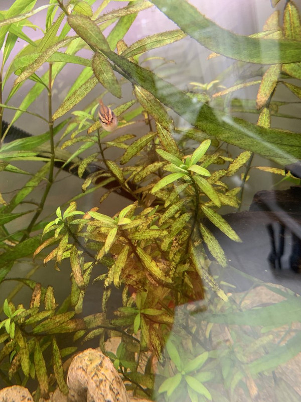 933EBF22-4BE0-4E35-A570-CA1009611412