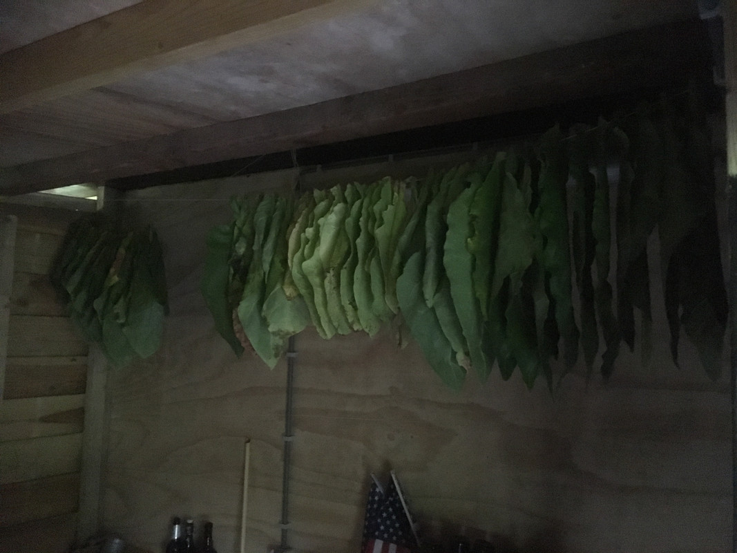 C9BE3CFC-F6DA-45BB-B3D3-4CEB94C7FCDE