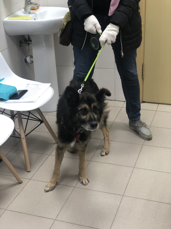 826BC589-73C2-4B4A-9153-EAFF143B05C2