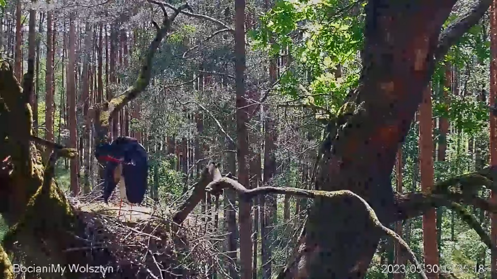 Zrzut ekranu (15914)