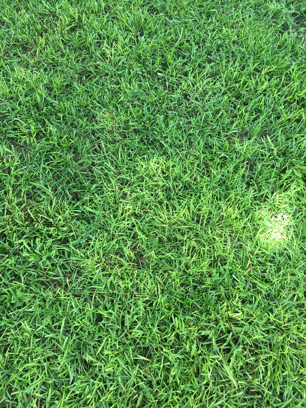 4A63B418-B92E-4784-95FA-A50A9623C253