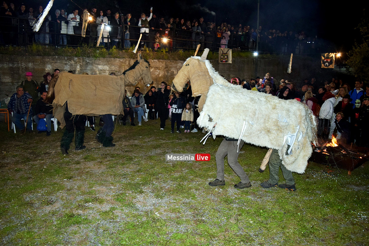 ελαιοχωριDSC_0668