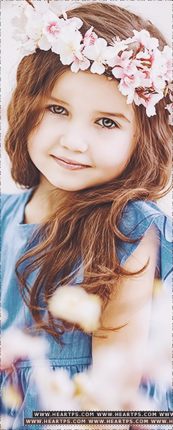 ���� ���� ������ �� ���� ������