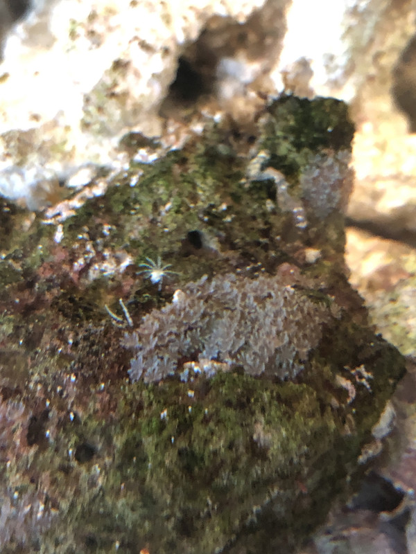 A7648E03-D372-489C-BADC-31C7052E6D5D