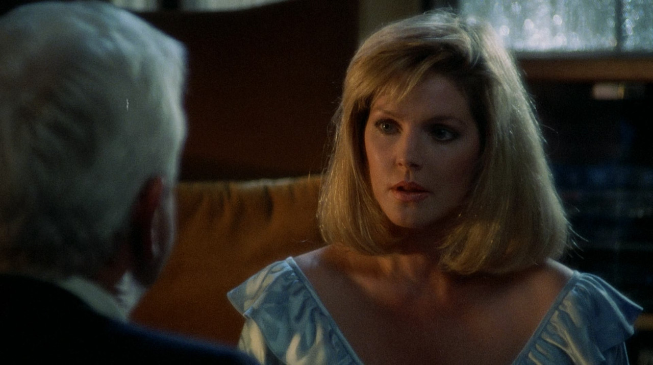 The Naked Gun - From the Files of Police Squad! (1988) (1080p BDRip x265 10bit DTS-HD MA 5.1 - HxD) 