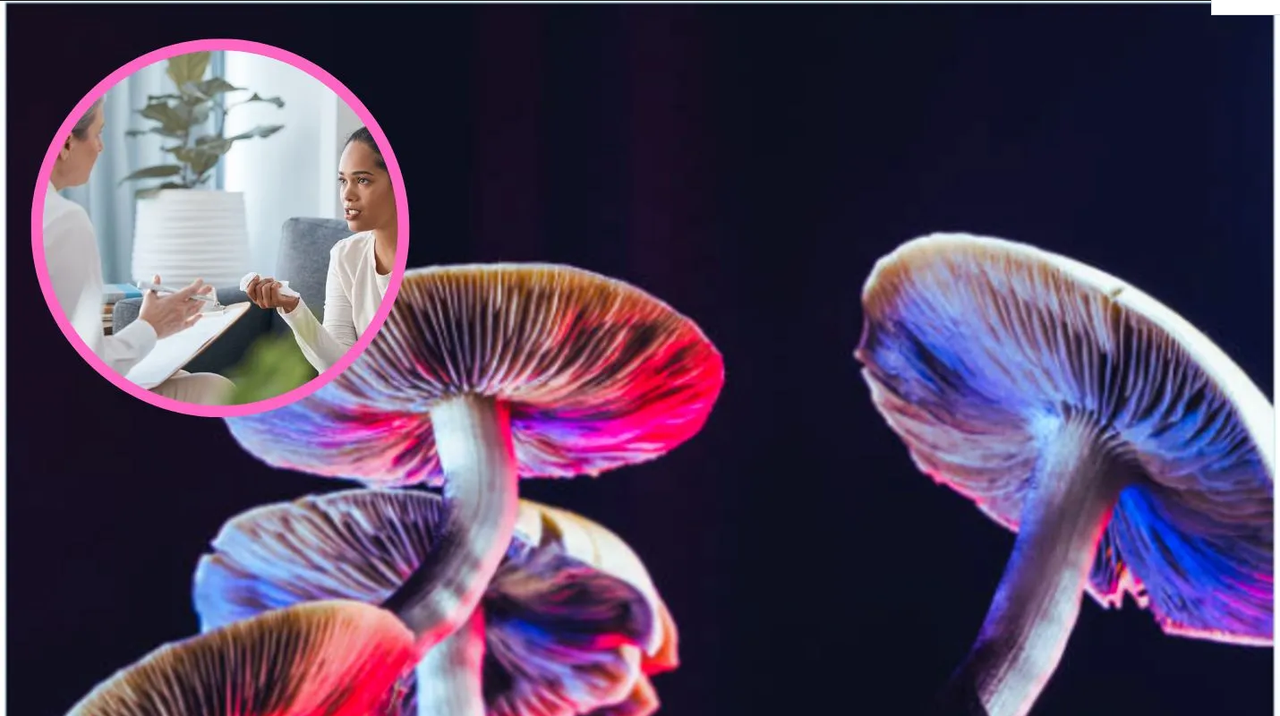 Así fue como Australia aprobó la prescripción de hongos mágicos y éxtasis