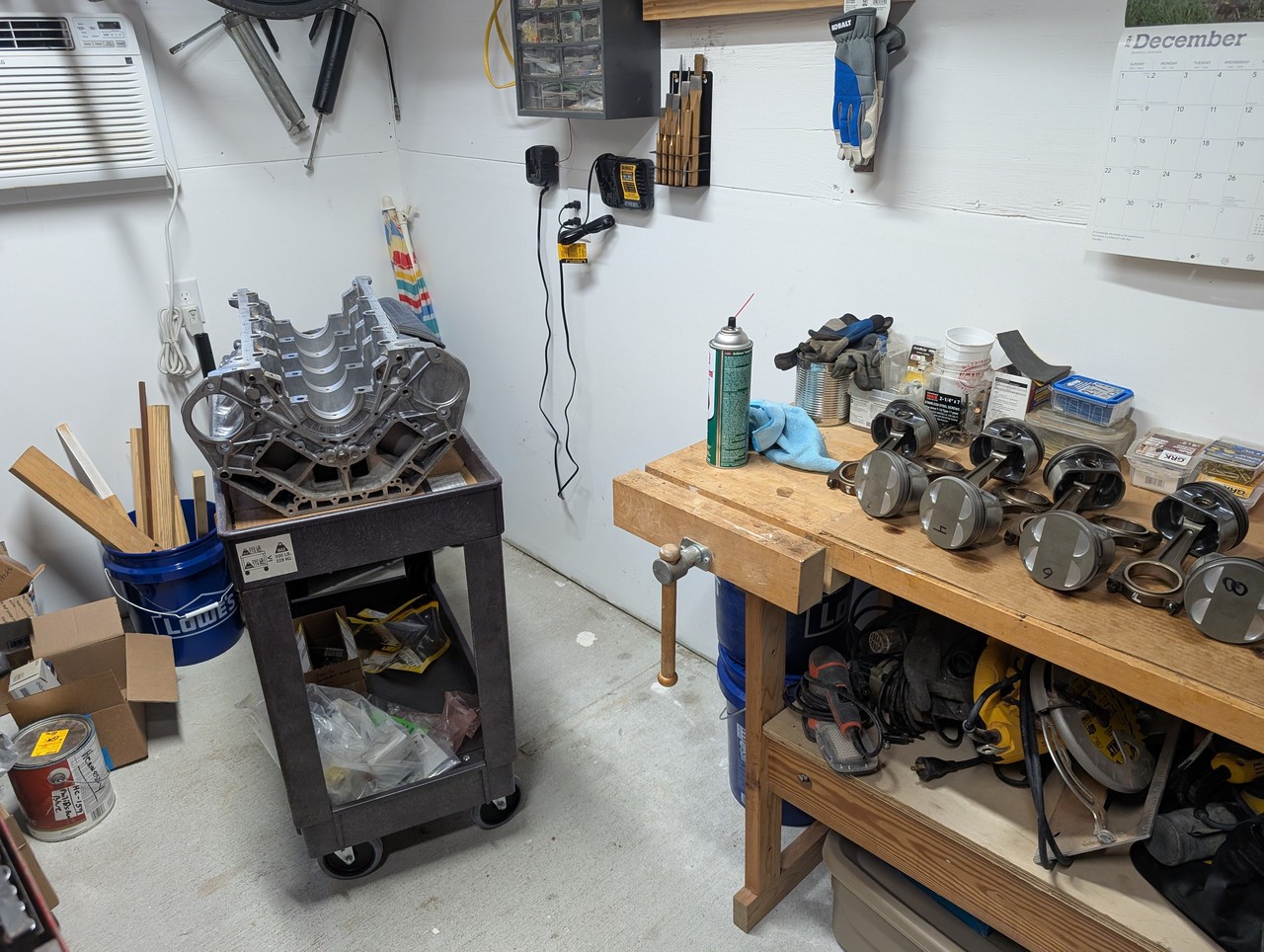 PXL 20251111 214343216 Original