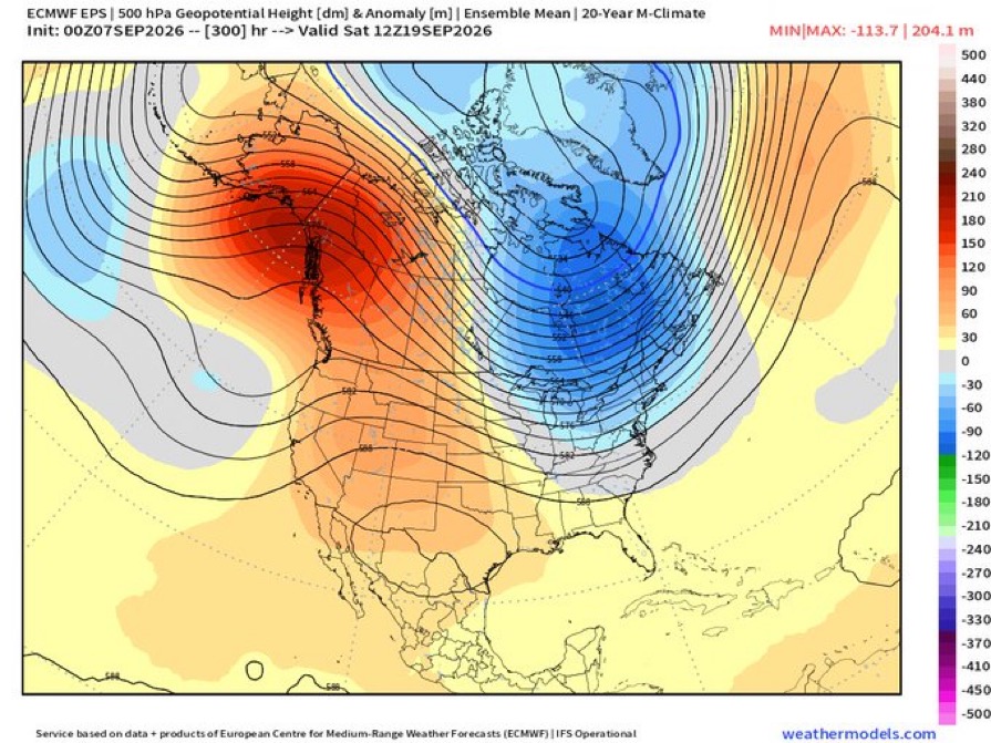 IMG-2724.jpg
