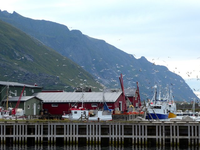 DÍA 8 – LOFOTEN: RAMBERG-KVALVIKA BEACH-HAMNØY-REINE-Subida al REINEBRINGEN - 12 días por Noruega: Bergen - Tromsø - Islas Lofoten - Oslo (3)