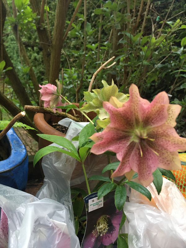 C94E76B6-FB95-4425-B102-52033B1366D2