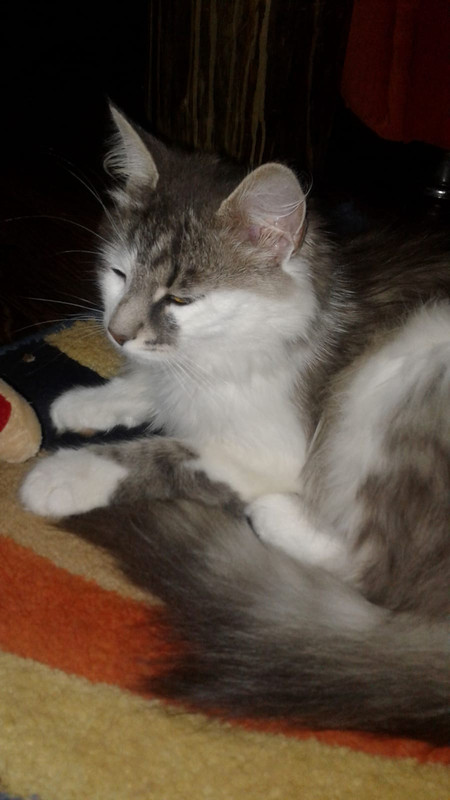 BA86F0E1-41DA-4E61-B6E0-DF135DB1C4E5