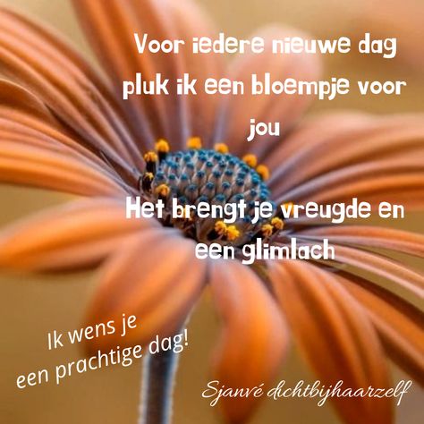 2db405b732d97e6c3684ae39ac103556
