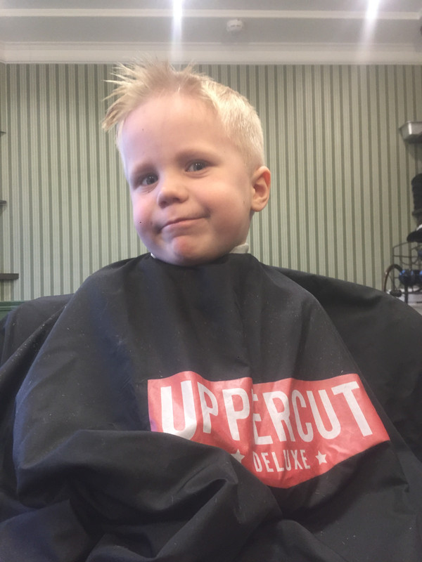 E1A3D384-DE07-441F-8741-CEB2937EC01D