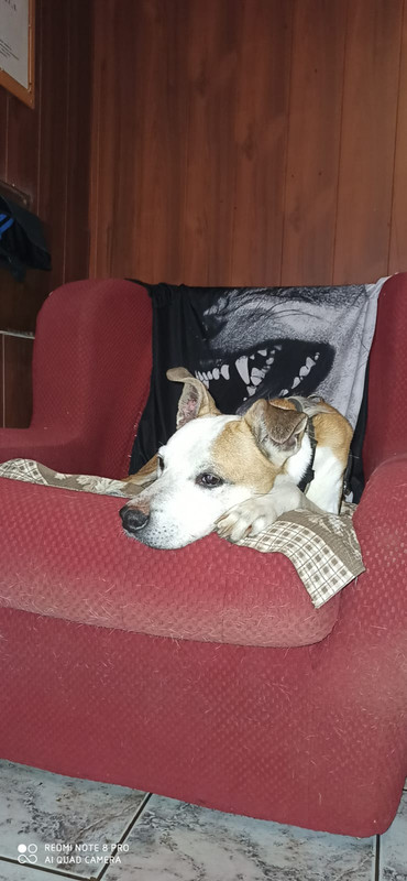 9D1CD461-80CA-4A84-AC36-DF4DBF84F074