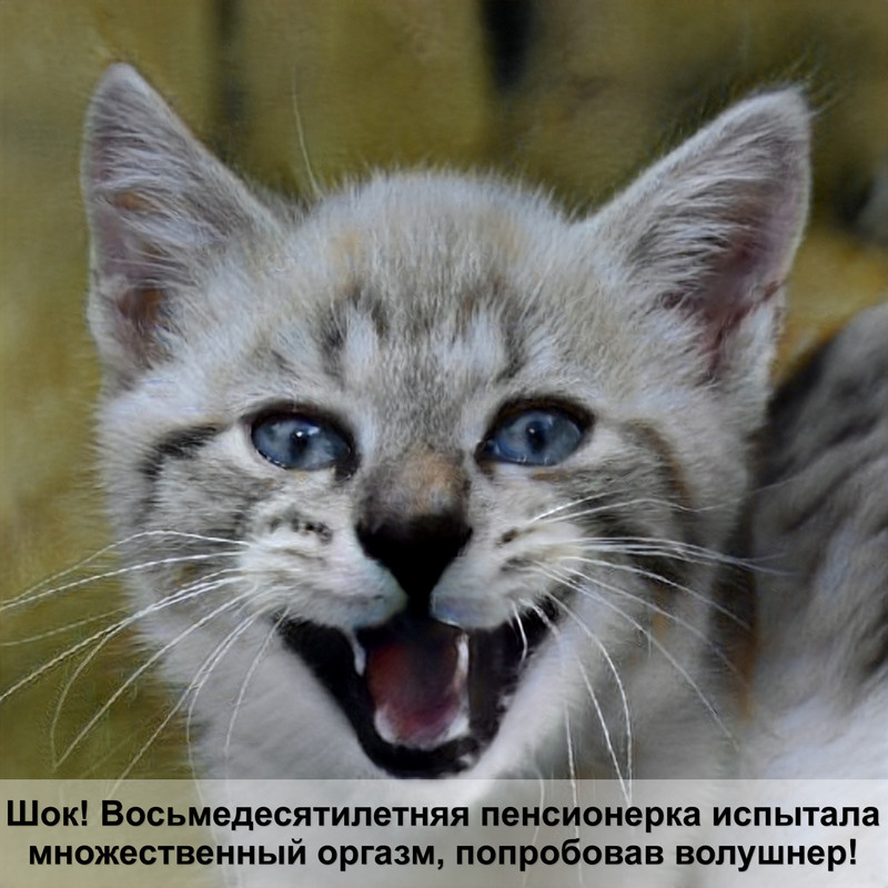 лазалка для кошек своими руками