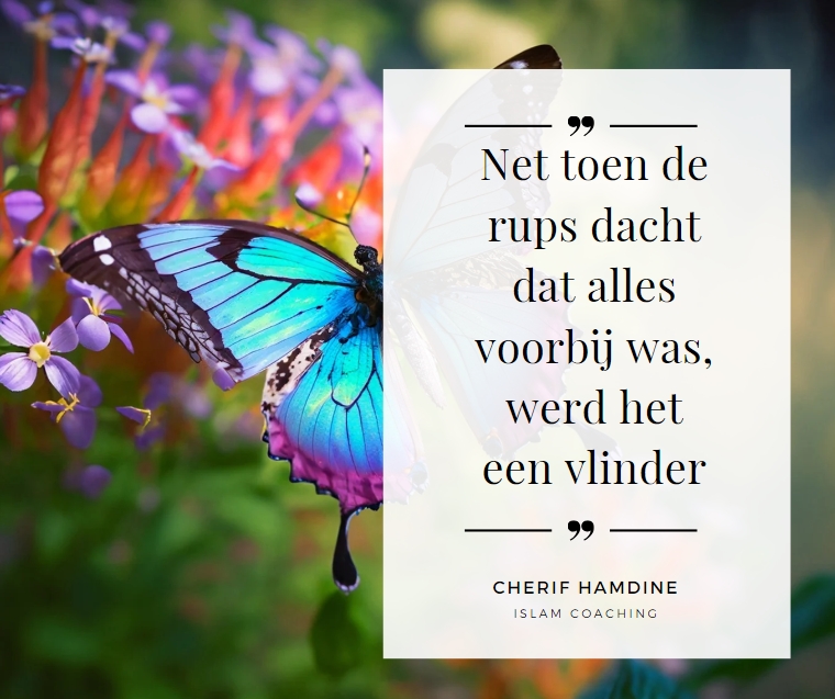 Schermopname-19-2-2025-8716-www-canva-com