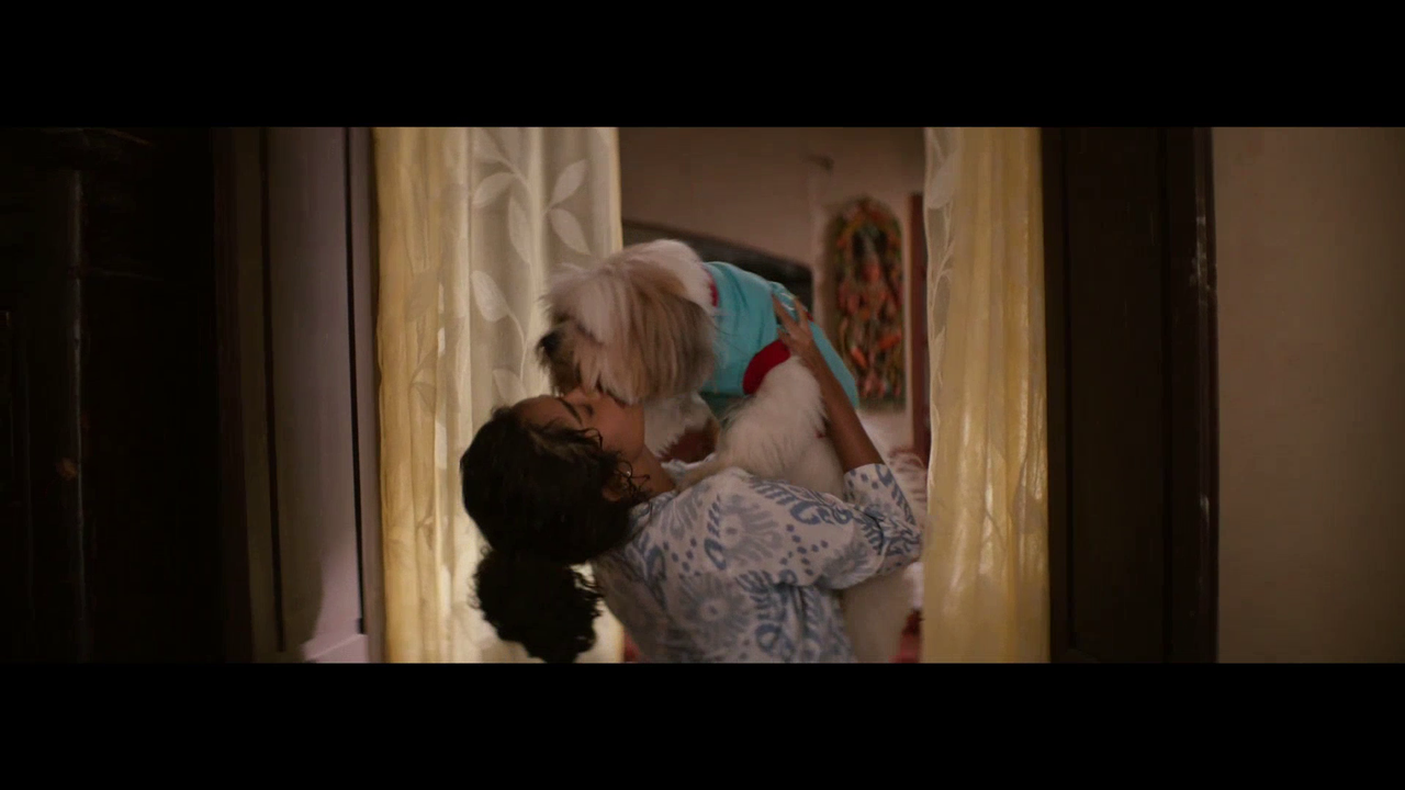 vlcsnap 2025 11 09 16h39m26s961