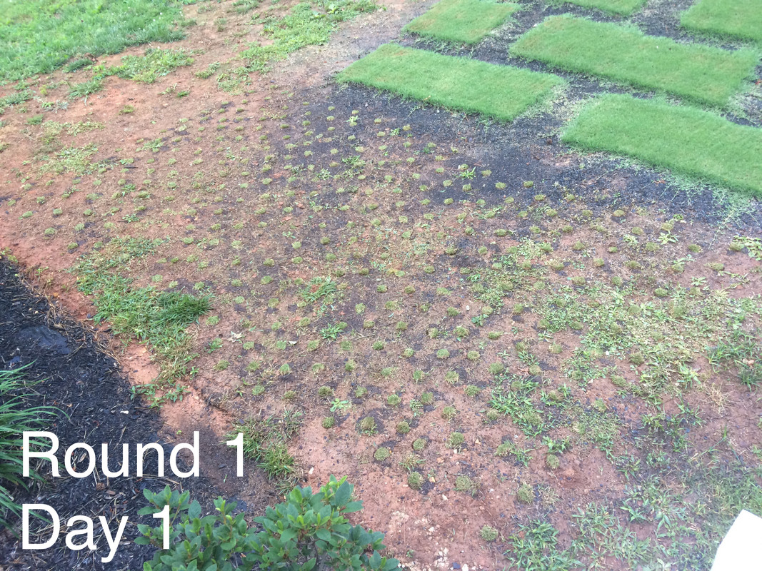 F00746F1-6A42-4F7E-8FF3-DCA41D4FE7E4