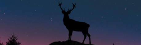 Popup Designshop 2.0 Deer-banner