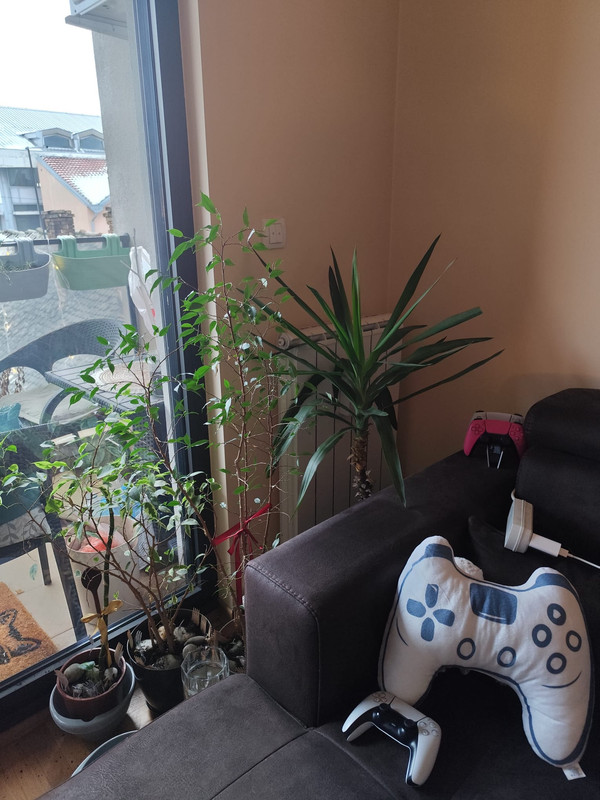 Whats App Image 2026 01 16 at 08 46 31