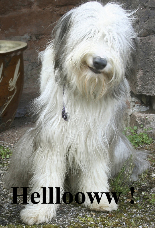 Image Image