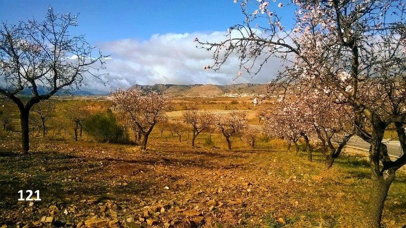 121 Chris POttle WP_20200119_12_10_29_Pro3