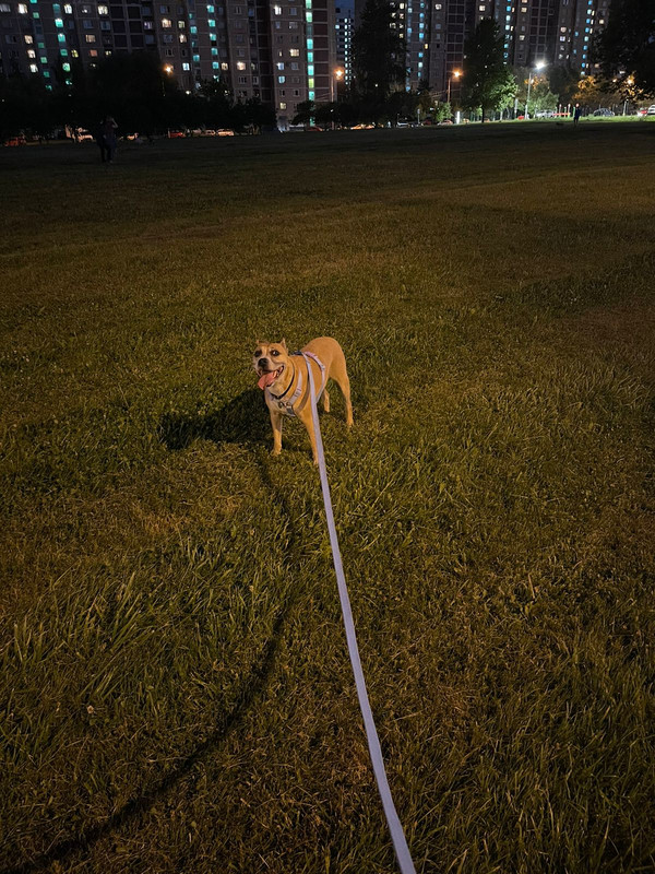 30B17495-9062-49CF-9700-20AF77AD102A