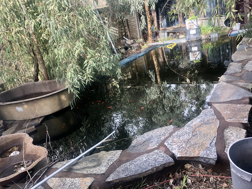 3600FED1-55B2-4A6F-A055-8596E6BD265E