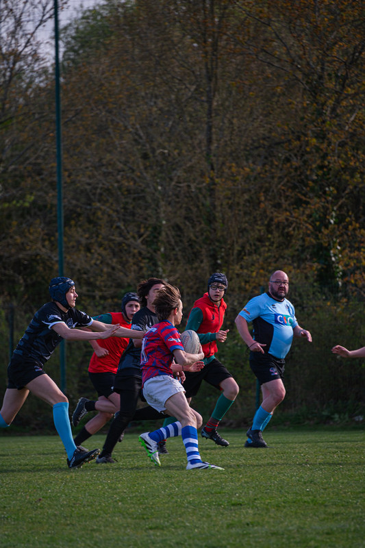 tournoi-de-latlantique-2026-adonis-griffon-243-55181654435-l