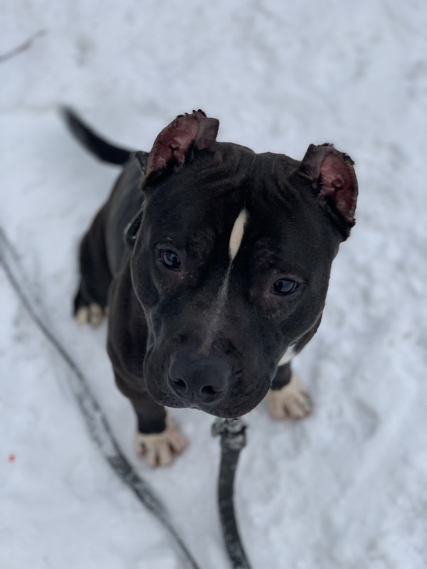 5B204DFB-C1C1-430A-8B61-C6719AA25EE7