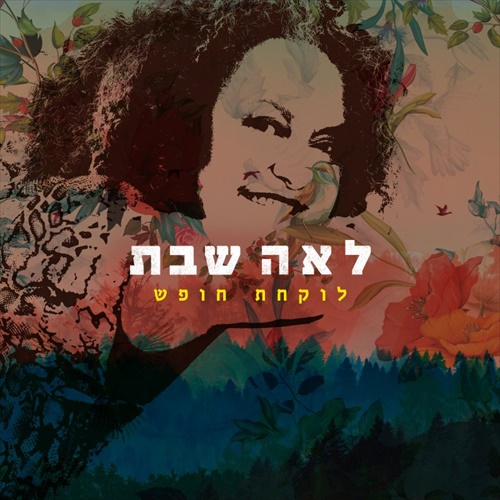תמונה