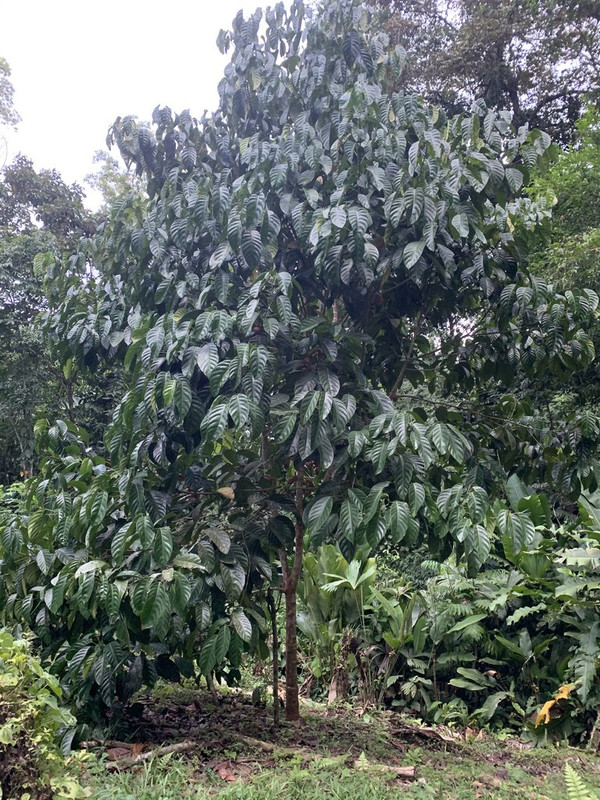 6142CC91-DCA3-4CDA-BE71-C2CC8DB10CC2