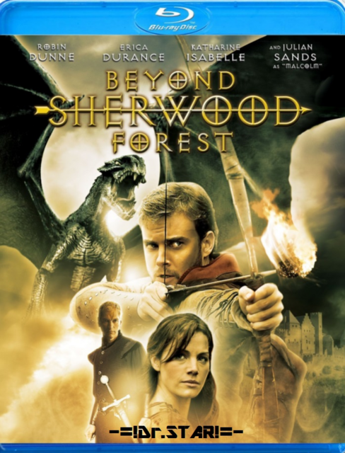  Beyond Sherwood Forest (2009) 720p BluRay Hollywood Movie [Dual Audio] [Hindi or English] x264 AAC ESubs [1GB] Full Movie Download