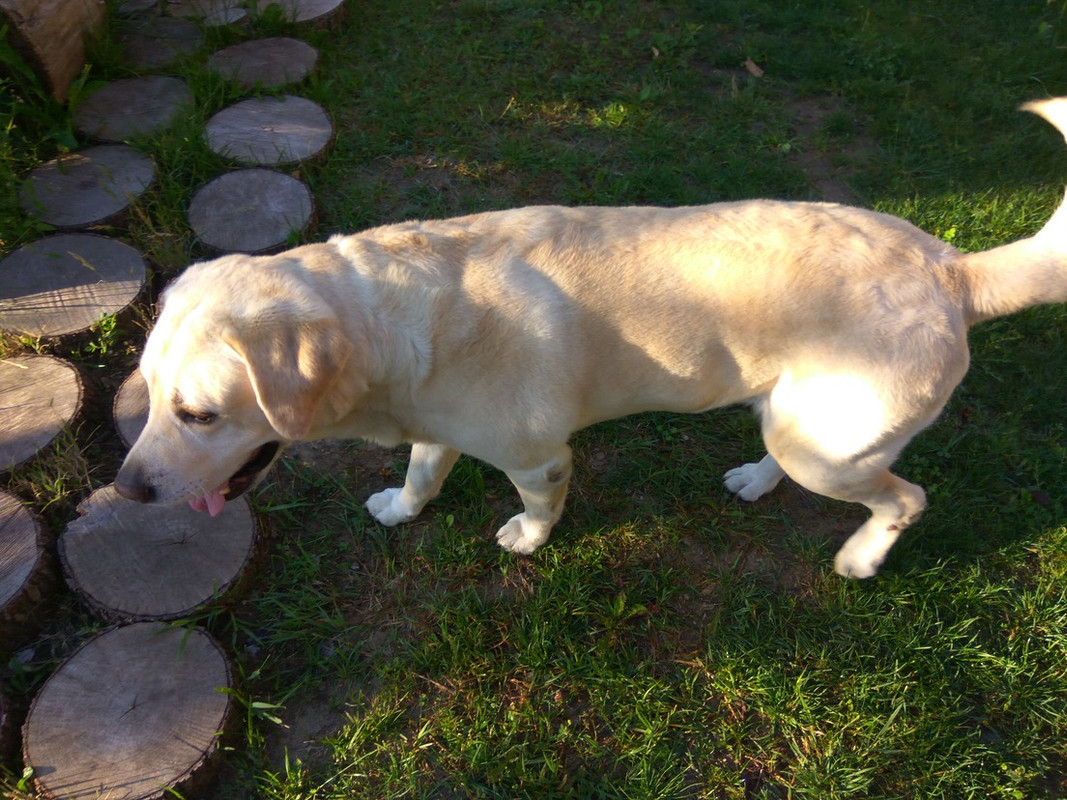 BD7EED38-451D-4D2E-BBD9-14223D99733C