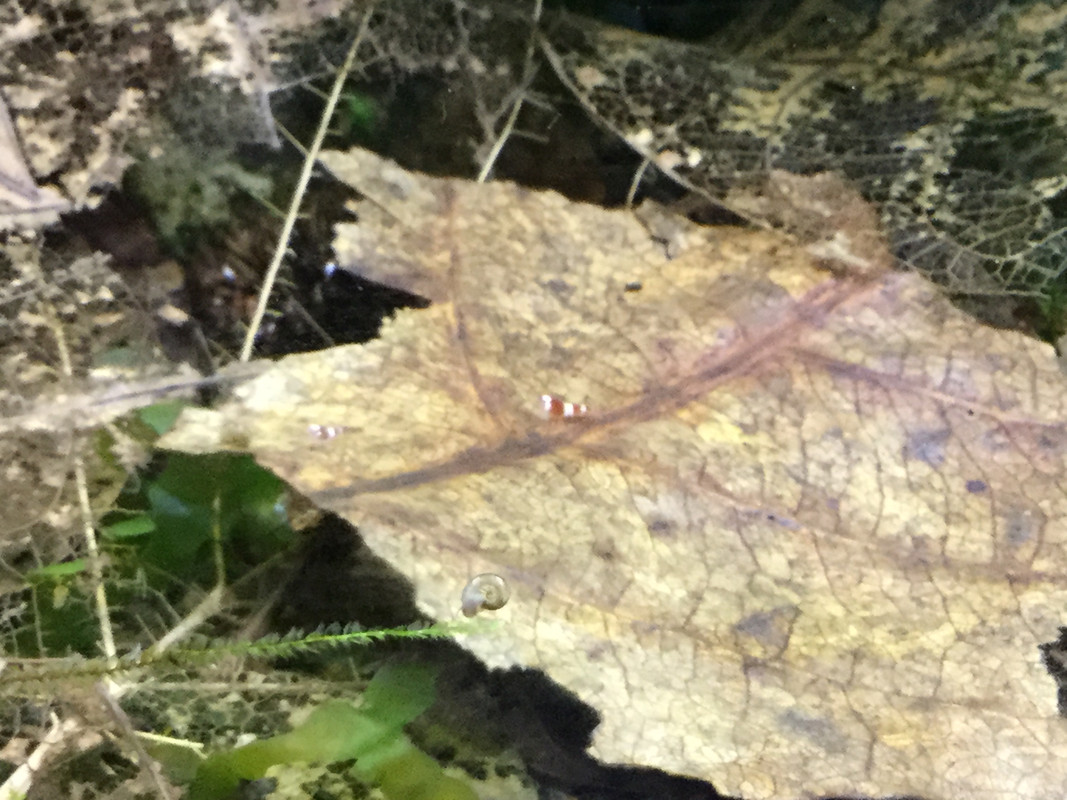 0DBF16CA-8A48-49E3-A527-EBC26E245376