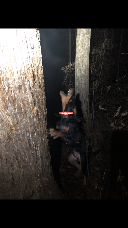 23DEABC4-E62F-447F-A856-913B9AFBC2E1