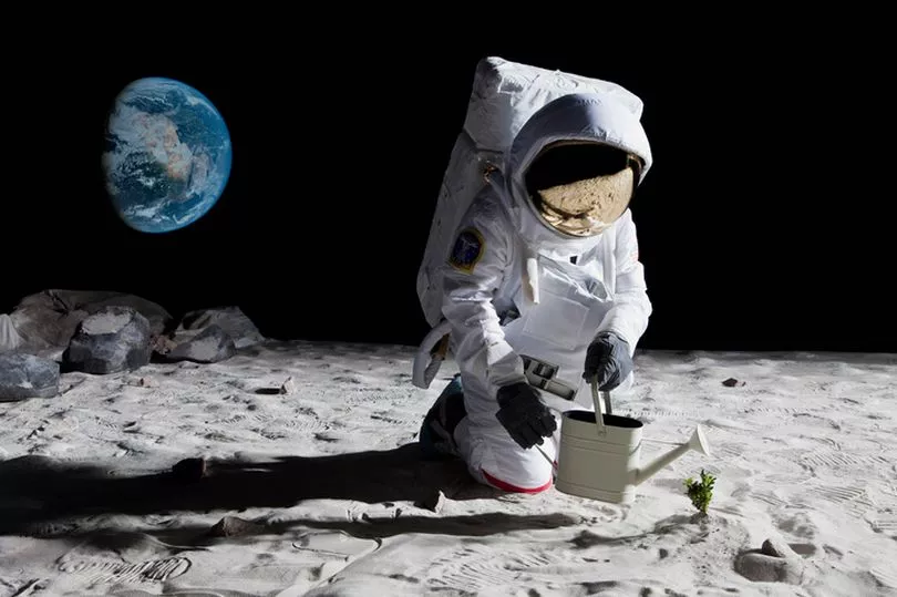 0-An-astronaut-gardening-on-the-moon.webp